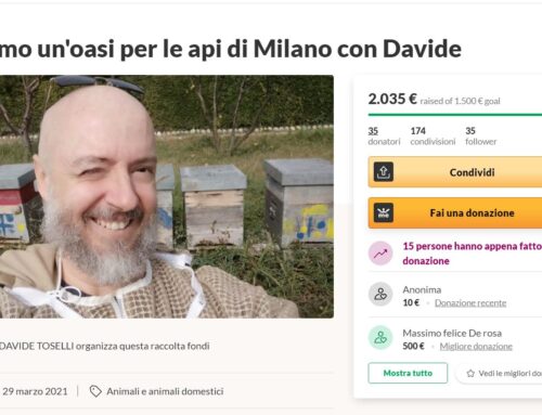 Crowdfunding per le api e Social Media